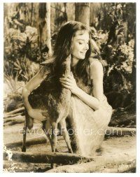 2x347 GREEN MANSIONS 7.25x9.5 still '59 c/u of beautiful smiling Audrey Hepburn with baby deer!