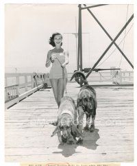 2x640 MITZI GAYNOR 8.25x10 still '52 candid in swimsuit walking dogs from Bloodhounds of Broadway!