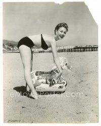 2x639 MITZI GAYNOR 7.5x9.5 still '56 in sexy swimsuit on Malibu Beach with inflatable horse!
