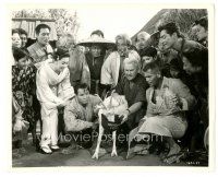 2x885 TEAHOUSE OF THE AUGUST MOON 8.25x10 still '56 Brando, Ford & Kyo watch Albert feed goat!