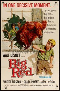 3b076 BIG RED 1sh '62 Disney, Walter Pigeon, artwork of Irish Setter dog jumping through window!