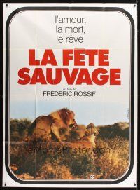 3c484 LA FETE SAUVAGE French 1p '76 Frederic Rossif's documentary about wild animals, cool lions!