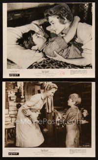 3d973 OLD YELLER 2 8x9.75 stills '57 Dorothy McGuire, Corcoran, Walt Disney's most classic canine!