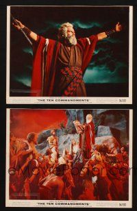 3d992 TEN COMMANDMENTS 2 color 8x10 stills '56 Charlton Heston as Moses, Red Sea, 10 Commandments!