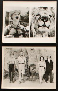 3d575 CLARENCE THE CROSS-EYED LION 7 8x10 stills '65 Africa safari, images with big cat & Ben Turpin