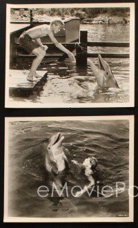 3d623 FLIPPER 6 8x10 stills '63 Chuck Connors, Luke Halpin, cool images of dolphin!