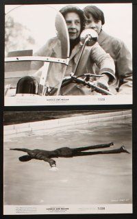 3d627 HAROLD & MAUDE 6 8x10 stills '71 great images of Ruth Gordon & Bud Cort, Ashby classic!