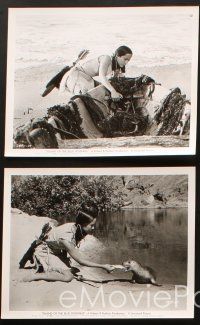 3d694 ISLAND OF THE BLUE DOLPHINS 5 8x10 stills '64 Native American Indian Celia Kaye & animals!