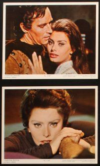 3d430 EL CID 12 color 8x10 stills '61 directed by Anthony Mann, Charlton Heston, Sophia Loren!