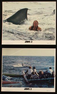 3d767 JAWS 2 4 8x10 mini LCs '78 Roy Scheider with gun, Lorraine Gary, cool shark images!