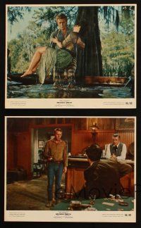 3d710 NEVADA SMITH 5 8x10 mini LCs '66 Steve McQueen in the title role, great gambling image!