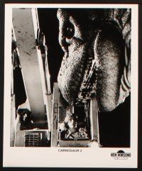 3d337 CARNOSAUR 2 presskit w/ 5 stills '95 Roger Corman, John Savage, cool dinosaur images!