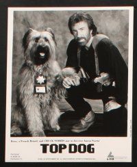 3d323 TOP DOG presskit w/ 6 stills '95 Chuck Norris w/wacky dog policeman!