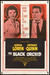 3h148 BLACK ORCHID 1sh '59 Anthony Quinn, Sophia Loren, a story of love directed by Martin Ritt!