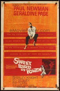 3h848 SWEET BIRD OF YOUTH 1sh '62 Paul Newman, Geraldine Page, from Tennessee Williams' play!