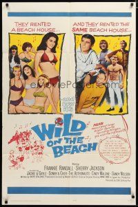 3h961 WILD ON THE BEACH 1sh '65 Frankie Randall, Sherry Jackson, Sonny & Cher, teen rock & roll!