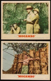 3j928 MOGAMBO 2 LCs '53 Clark Gable, surrounded by spears, Grace Kelly & Donald Sinden in Africa!