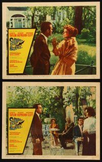 3j971 SUDDENLY, LAST SUMMER 2 LCs '60 Katherine Hepburn, Liz Taylor, Clift, Tennessee Williams!
