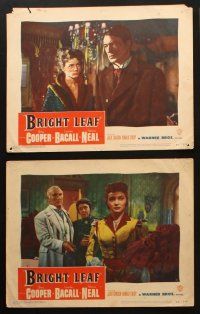 3j594 BRIGHT LEAF 6 LCs '50 Gary Cooper, Lauren Bacall, Patricia Neal, directed by Michael Curtiz!