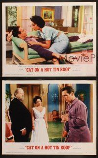 3j782 CAT ON A HOT TIN ROOF 3 LCs R66 Elizabeth Taylor as Maggie the Cat, Paul Newman, Burl Ives!