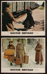 3j128 DOCTOR ZHIVAGO 8 LCs R72 Omar Sharif, Julie Christie, David Lean classic English epic!