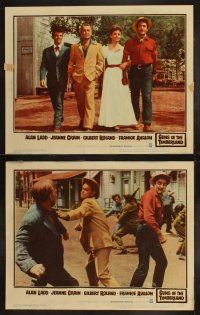 3j191 GUNS OF THE TIMBERLAND 8 LCs '60 Alan Ladd, pretty Jeanne Crain, first Frankie Avalon!