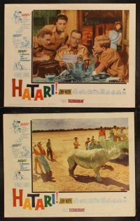 3j199 HATARI 8 LCs '62 Howard Hawks, cool images of John Wayne on safari in Africa!
