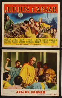3j234 JULIUS CAESAR 8 LCs '53 Marlon Brando, James Mason & Greer Garson, Shakespeare!