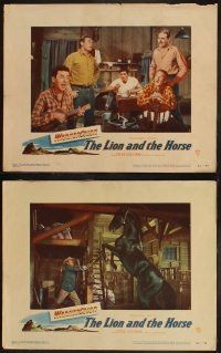 3j262 LION & THE HORSE 8 LCs '52 images of Steve Cochran & Wildfire in the title role!