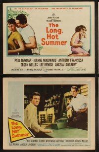 3j271 LONG, HOT SUMMER 8 LCs '58 Paul Newman, Joanne Woodward, Faulkner, directed by Martin Ritt!