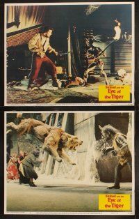 3j406 SINBAD & THE EYE OF THE TIGER 8 LCs '77 Ray Harryhausen effects, Patrick Wayne, Jane Seymour!