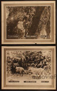 3j752 SON OF TARZAN 4 chapter 4 LCs '20 action scenes from The Sheik's Revenge, cool lions!