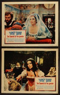 3j452 TAMING OF THE SHREW 8 LCs '67 Elizabeth Taylor & Richard Burton, Shakespeare's classic!