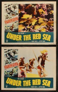 3j479 UNDER THE RED SEA 8 LCs '52 cool border art of scuba divers & sexy swimmer fighting shark!