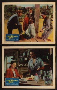 3j511 YOUNG ONE 8 LCs '61 Luis Bunuel vs Mexican racism, Zachary Scott, La Joven!