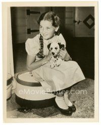 3k211 DONNA CORCORAN 8x10.25 still '54 great candid c/u with cute puppy on the set of Gypsy Colt!