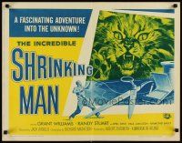 3t094 INCREDIBLE SHRINKING MAN 1/2sh R64 Jack Arnold, classic sci-fi art of tiny man & giant cat!