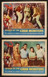 3w172 ATTACK OF THE CRAB MONSTERS 2 LCs '57 Richard Garland, Pamela Duncan, Roger Corman horror!