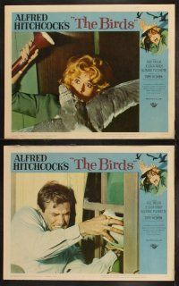 3w102 BIRDS 8 LCs '63 Alfred Hitchcock, Tippi Hedren, Rod Taylor, Tandy, classic horror images!
