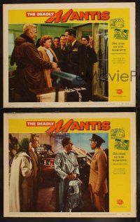 3w163 DEADLY MANTIS 3 LCs '57 Craig Stevens, Alix Talton, William Hopper, giant insect horror!