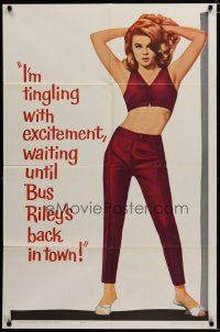 3x145 BUS RILEY'S BACK IN TOWN teaser 1sh '65 wonderful full-length image of sexy Ann-Margret!