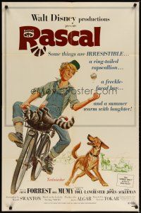 3x657 RASCAL 1sh '69 Walt Disney, great art of Bill Mumy on bike with raccoon & dog!