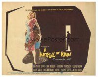 3y146 HATFUL OF RAIN TC '57 Fred Zinnemann early drug classic, art of Eva Marie Saint & Don Murray