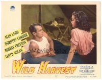 3y970 WILD HARVEST LC #5 '47 c/u of Alan Ladd & sexy Dorothy Lamour on bed in his tent!