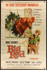 3z256 BIG RED 40x60 '62 Disney, Walter Pigeon, artwork of Irish Setter dog jumping through window!