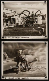 4c931 GIANT SPIDER INVASION 2 8x10 stills '75 image of the really big bug at house, scared people!