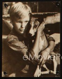 4c910 BRANDON DE WILDE 3 8x10 stills '50s w/ dog in Good-Bye My Lady, w/ horse in Missouri Traveler