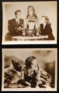 4c304 CRY OF THE WEREWOLF 23 8.25x10.25 stills R49 gypsy Nina Foch as the monster of New Orleans!