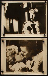 4c339 JULIE 14 8x10 stills '56 Doris Day & her husband Louis Jourdan, Sullivan, Lovejoy!