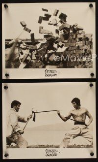 4c878 SHADOW OF THE DRAGON 3 8x10 stills '73 kung fu martial arts action w/ Bruce Lee-like hero!